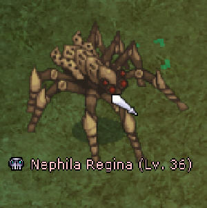 NephilaRegina.png