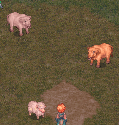 Animais.png