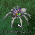 AranhaProtetora.png