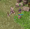 05-mineiro.gif