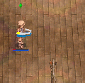 03-fogueira.gif